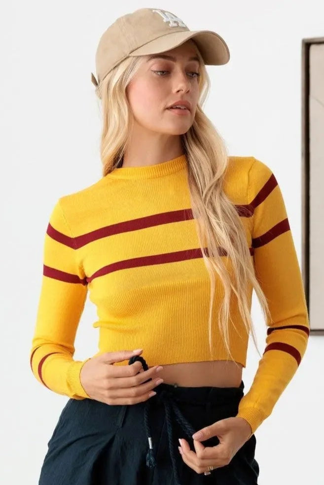 Stripe Long Sleeve Crop Knit Top